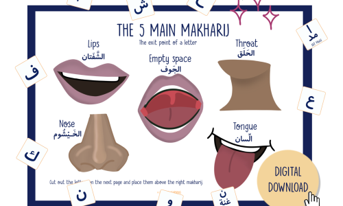 Tajweed (Rules of Quranic Recitation)